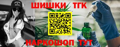 гидра Славгород