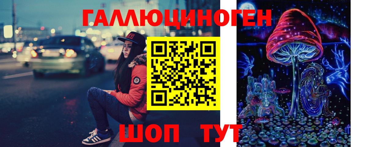 Галлюциногенные грибы Psilocybe Новочеркасск